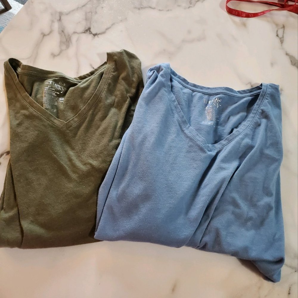 2 Pack Terry & Sky Women's Long Sleeve Plus Size V-Neck T-Shirt Blue & Green
